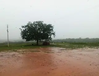 Chuvas vão voltar ao interior da PB, RN, PE e CE nos próximos dias, diz meteorologista Rodrigo Cézar Limeira