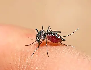 Paraíba já registrou mais de 2,7 mil casos de arboviroses este ano e três mortes por dengue